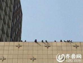 济南楼顶爆料事件最新,高空惊魂，真相背后引关注